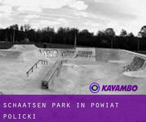 Schaatsen Park in Powiat policki