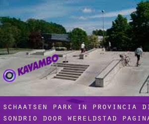 Schaatsen Park in Provincia di Sondrio door wereldstad - pagina 1