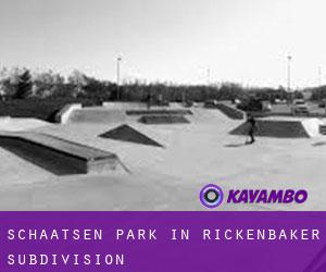 Schaatsen Park in Rickenbaker Subdivision