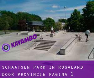 Schaatsen Park in Rogaland door Provincie - pagina 1