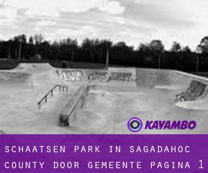 Schaatsen Park in Sagadahoc County door gemeente - pagina 1