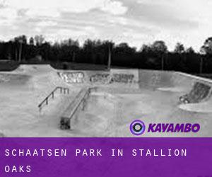 Schaatsen Park in Stallion Oaks