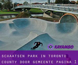 Schaatsen Park in Toronto county door gemeente - pagina 1