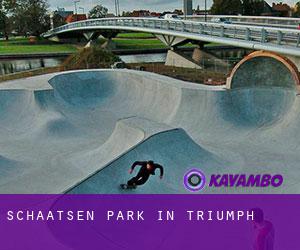 Schaatsen Park in Triumph