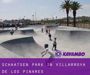 Schaatsen Park in Villarroya de los Pinares