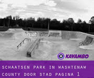 Schaatsen Park in Washtenaw County door stad - pagina 1