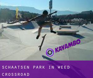 Schaatsen Park in Weed Crossroad