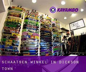 Schaatsen Winkel in Dickson Town