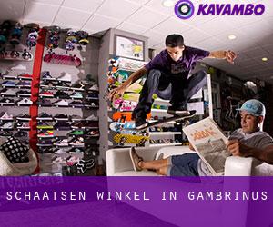 Schaatsen Winkel in Gambrinus