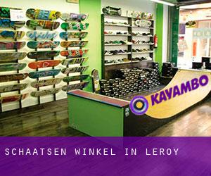 Schaatsen Winkel in Leroy