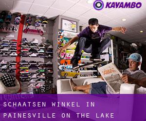 Schaatsen Winkel in Painesville on-the-Lake