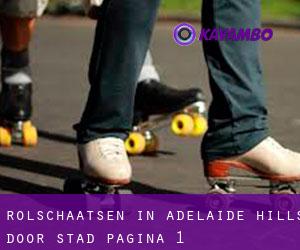 Rolschaatsen in Adelaide Hills door stad - pagina 1