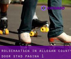 Rolschaatsen in Allegan County door stad - pagina 1