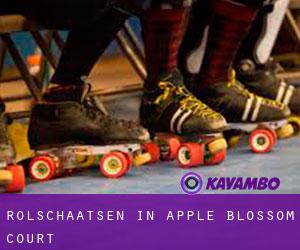 Rolschaatsen in Apple Blossom Court