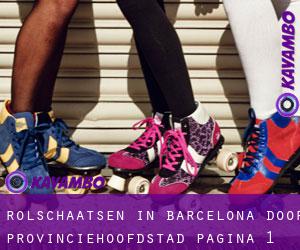 Rolschaatsen in Barcelona door provinciehoofdstad - pagina 1