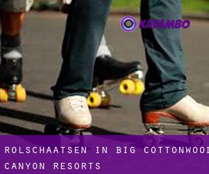 Rolschaatsen in Big Cottonwood Canyon Resorts