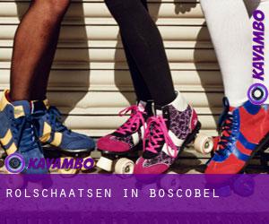 Rolschaatsen in Boscobel