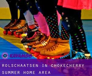 Rolschaatsen in Chokecherry Summer Home Area