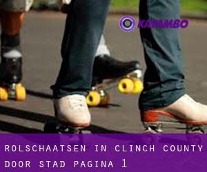 Rolschaatsen in Clinch County door stad - pagina 1