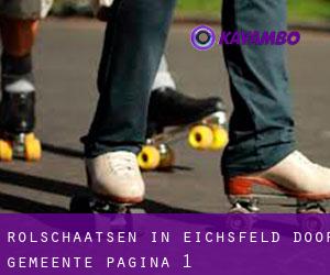Rolschaatsen in Eichsfeld door gemeente - pagina 1