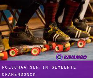 Rolschaatsen in Gemeente Cranendonck Rolschaatsen in Gemeente Cranendonck