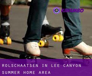 Rolschaatsen in Lee Canyon Summer Home Area