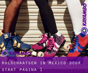 Rolschaatsen in Mexico door Staat - pagina 1