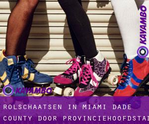 Rolschaatsen in Miami-Dade County door provinciehoofdstad - pagina 4