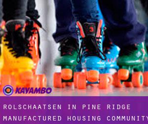 Rolschaatsen in Pine Ridge Manufactured Housing Community