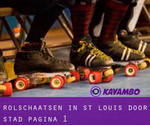 Rolschaatsen in St. Louis door stad - pagina 1