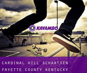 Cardinal Hill schaatsen (Fayette County, Kentucky)