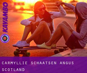 Carmyllie schaatsen (Angus, Scotland)