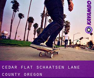 Cedar Flat schaatsen (Lane County, Oregon)