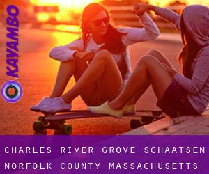 Charles River Grove schaatsen (Norfolk County, Massachusetts)