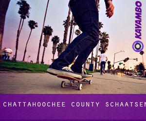Chattahoochee County schaatsen