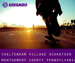 Cheltenham Village schaatsen (Montgomery County, Pennsylvania)