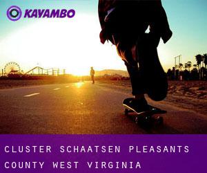 Cluster schaatsen (Pleasants County, West Virginia)