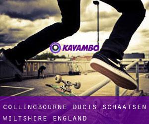 Collingbourne Ducis schaatsen (Wiltshire, England)