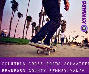 Columbia Cross Roads schaatsen (Bradford County, Pennsylvania)