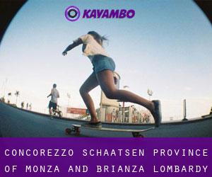 Concorezzo schaatsen (Province of Monza and Brianza, Lombardy)