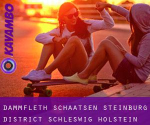Dammfleth schaatsen (Steinburg District, Schleswig-Holstein)