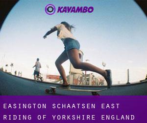 Easington schaatsen (East Riding of Yorkshire, England)