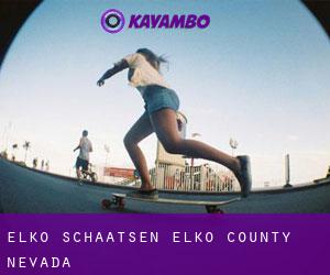 Elko schaatsen (Elko County, Nevada)
