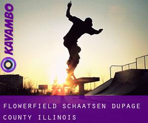 Flowerfield schaatsen (DuPage County, Illinois)