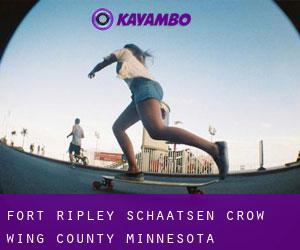 Fort Ripley schaatsen (Crow Wing County, Minnesota)