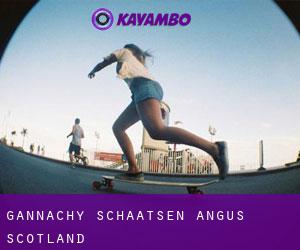Gannachy schaatsen (Angus, Scotland)