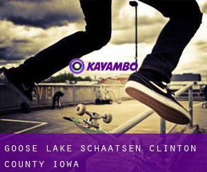 Goose Lake schaatsen (Clinton County, Iowa)