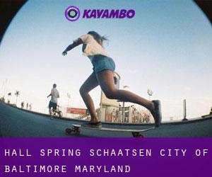 Hall Spring schaatsen (City of Baltimore, Maryland)