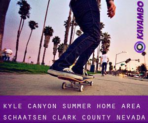 Kyle Canyon Summer Home Area schaatsen (Clark County, Nevada)