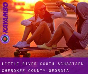 Little River South schaatsen (Cherokee County, Georgia)